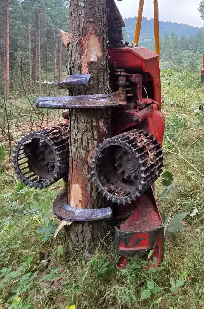 Mkhoba Forestry bought its SP Maskiner 761LF harvesting head from Logmech
