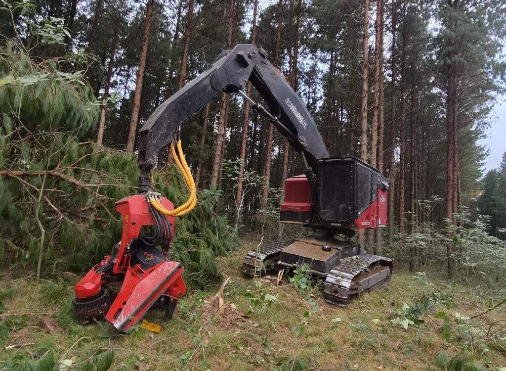 The TimberPro 725D and SP 761LF combination is proving to be an ideal solution for Mkhoba Forestry's steep slope harvesting operations