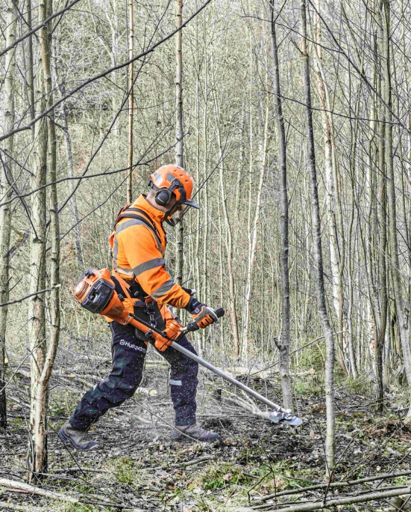 managing post-fire regrowth